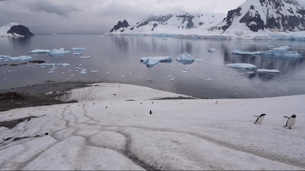 «Antártica, el continente blanco»