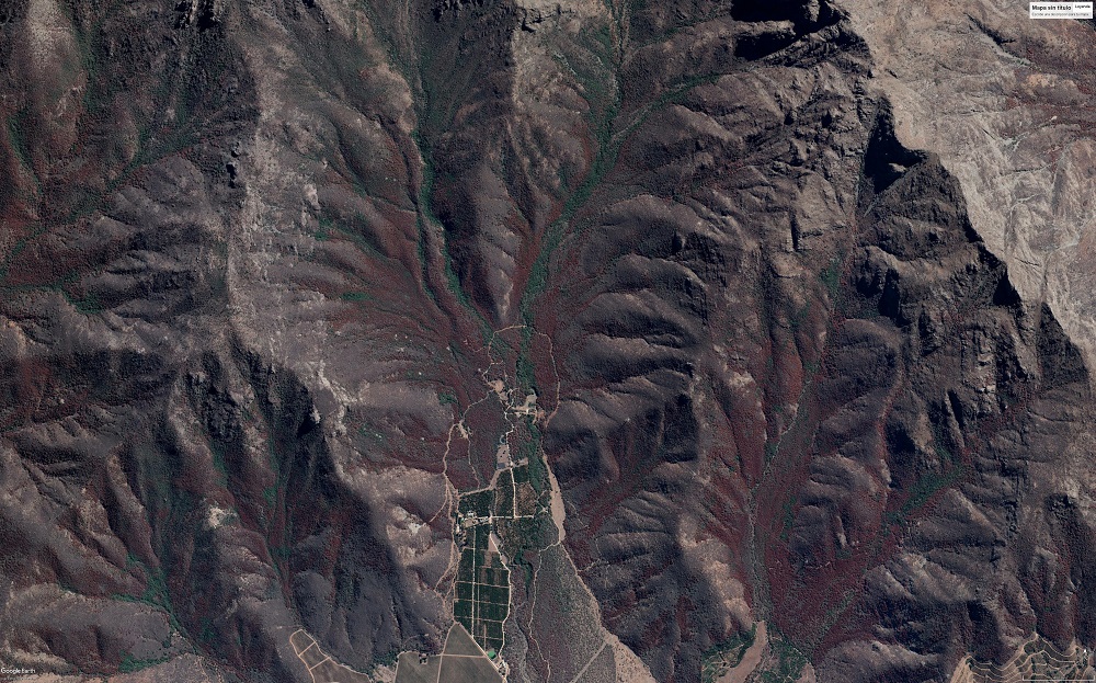 Pardeamiento bosque esclerófilo 2020 por Google Earth