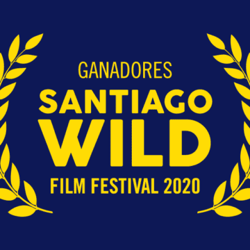 Conoce a los ganadores de la competencia nacional del Festival de Cine Santiago Wild