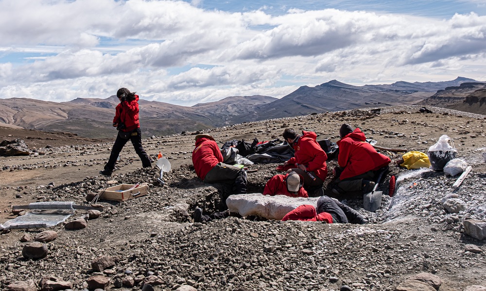 Campaña paleontológica de cerro Guido (INACH_P.Ruíz)