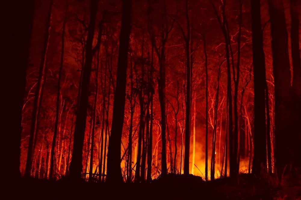 Continúa Alerta Roja por incendio que ha afectado a 1.700 hectáreas en Marga Marga