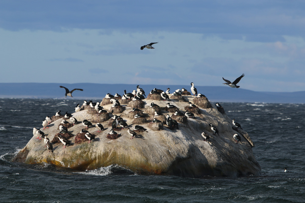 Roca de los cormoranes ©Gregor Stipicic