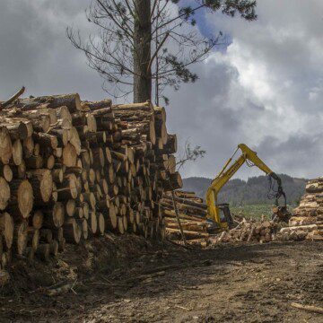 Chile es el primer país en Latinoamérica en entrar en sobregiro ecológico este 2020