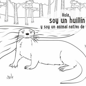 Celebra la Semana del Árbol en casa con material educativo online sobre el bosque nativo de la Patagonia
