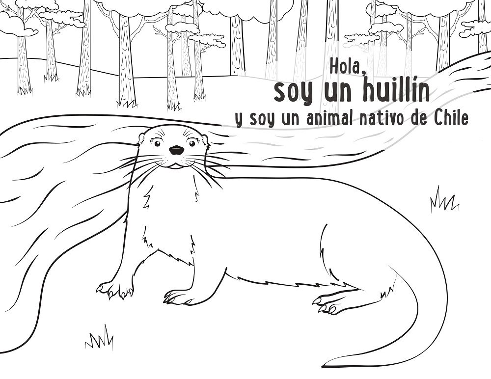Celebra la Semana del Árbol en casa con material educativo online sobre el bosque nativo de la Patagonia