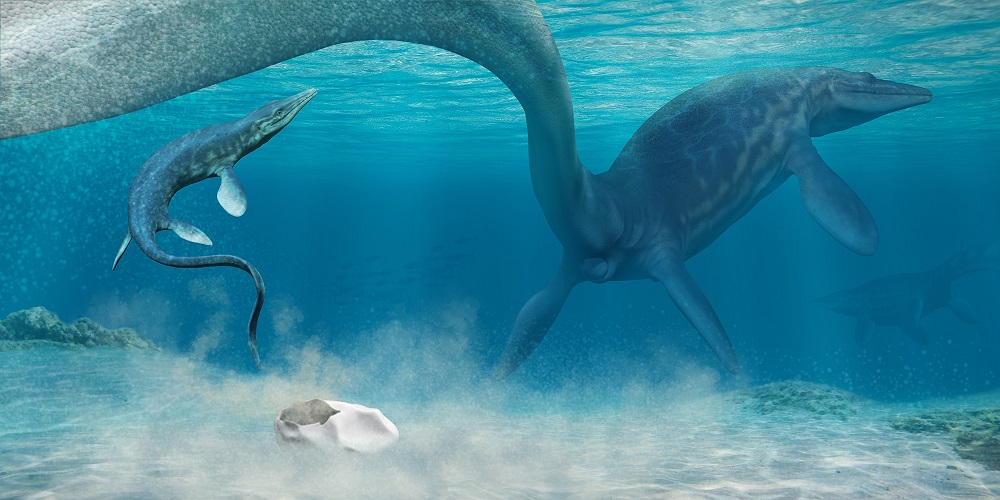 Interpretación artística del nacimiento de un mosasaurio. © Francisco Hueichaleo