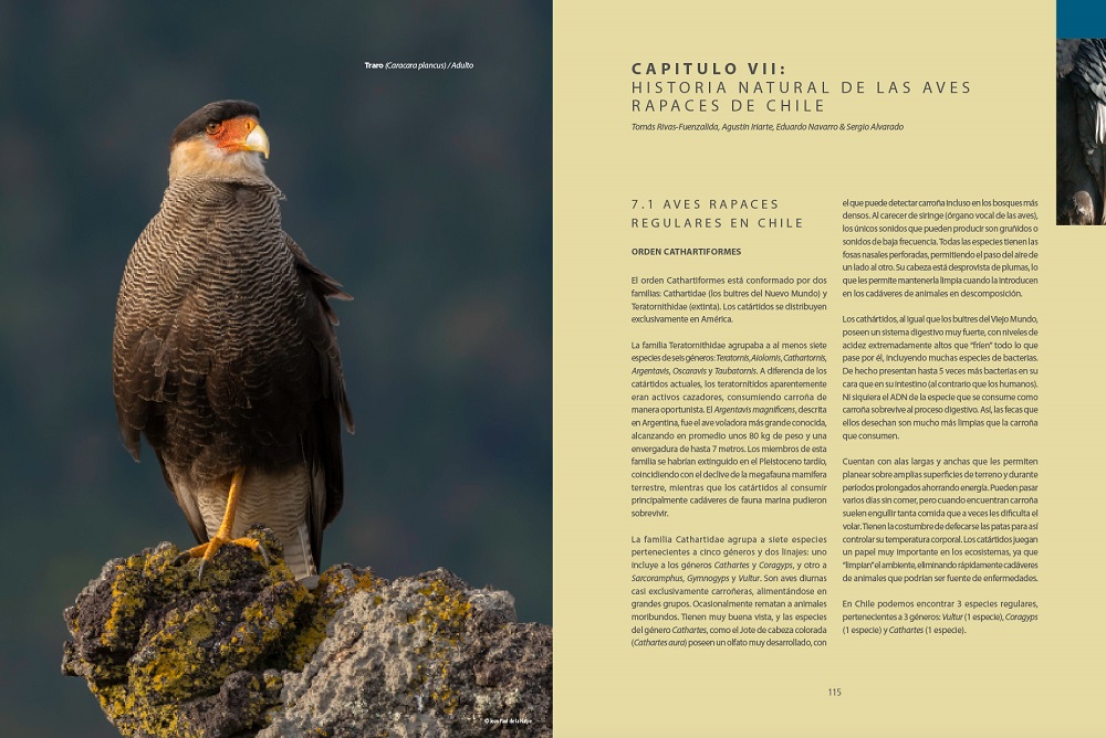 Libro Las Aves Rapaces de Chile (1)