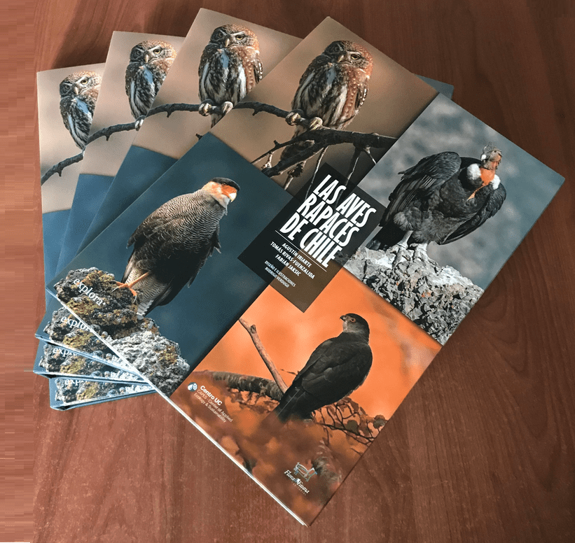 Libros Las Aves Rapaces de Chile (1)
