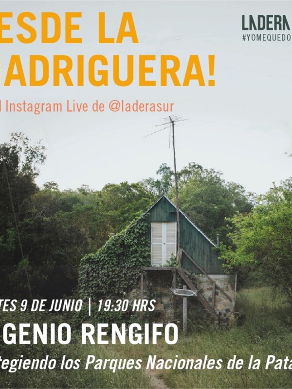 Esta semana en las transmisiones en vivo: protegiendo a los parques de la Patagonia y el desafío de fotografiar pumas