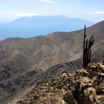 Recuperemos La Chimba: un proyecto para valorar y proteger una amenazada reserva nacional en Antofagasta
