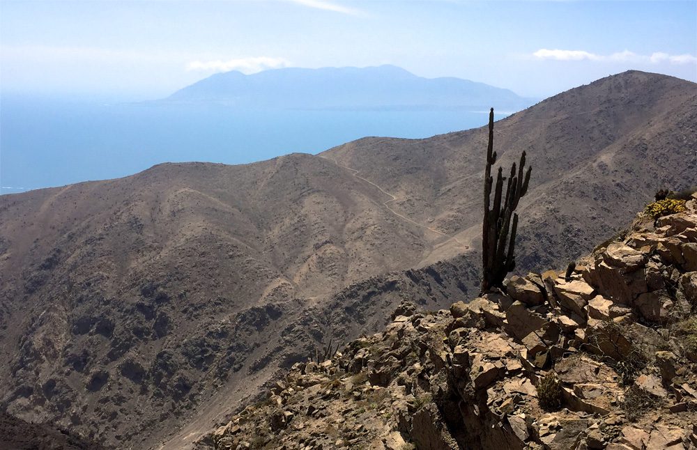 Recuperemos La Chimba: un proyecto para valorar y proteger una amenazada reserva nacional en Antofagasta