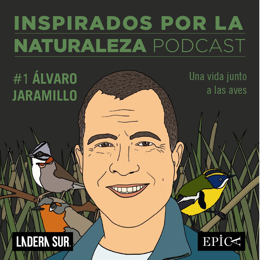 ¡Vuelven los podcast de Inspirados por la Naturaleza! Capítulo #1: Álvaro Jaramillo, una vida junto a las aves