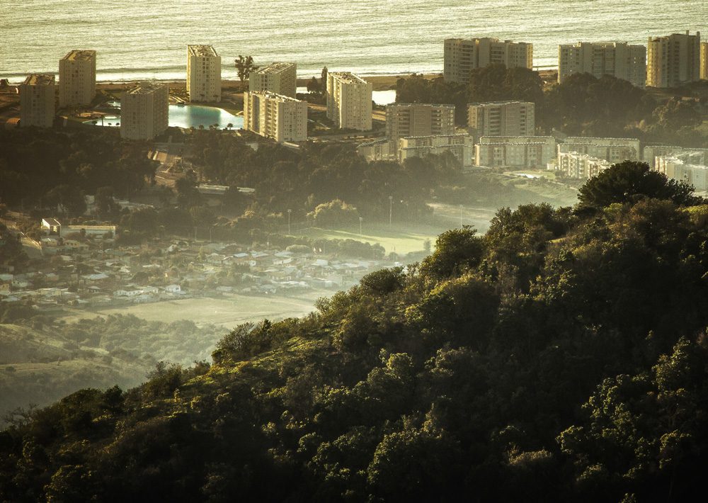 Los desafíos para conservar el bosque nativo en Papudo