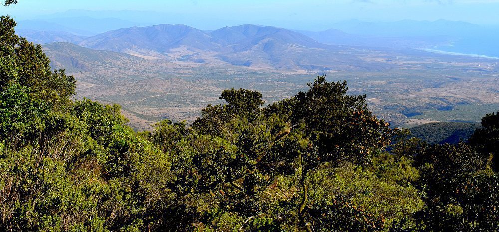 Cerro Santa Inés: un nuevo Santuario de la Naturaleza para Chile