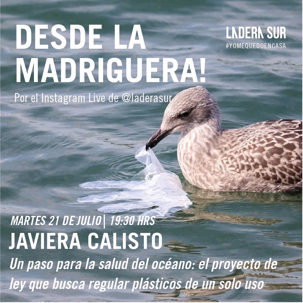 Desde la Madriguera – Contaminación por plástico – 21 julio 2020