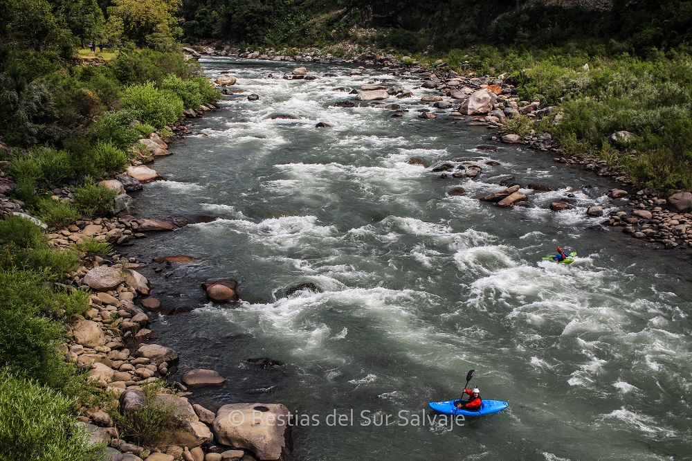 Río Queuco ©Paulo Urrutia