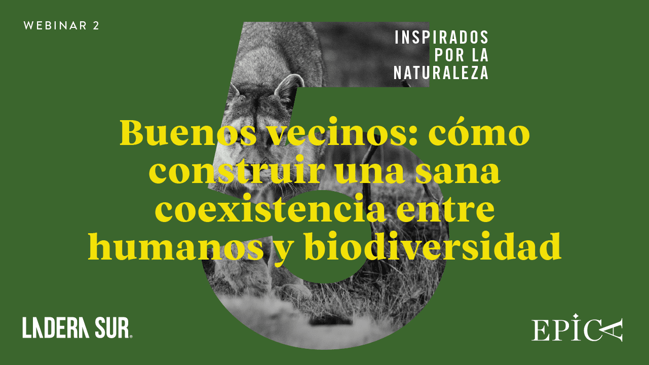 “Buenos vecinos: cómo construir una sana coexistencia entre humanos y biodiversidad”: no te pierdas el nuevo conversatorio de Inspirados por la Naturaleza