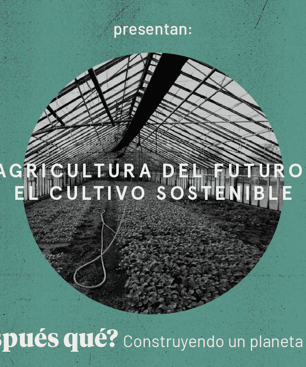 ¡Todos invitados! Nuevo conversatorio «Agricultura del futuro: el cultivo sostenible”