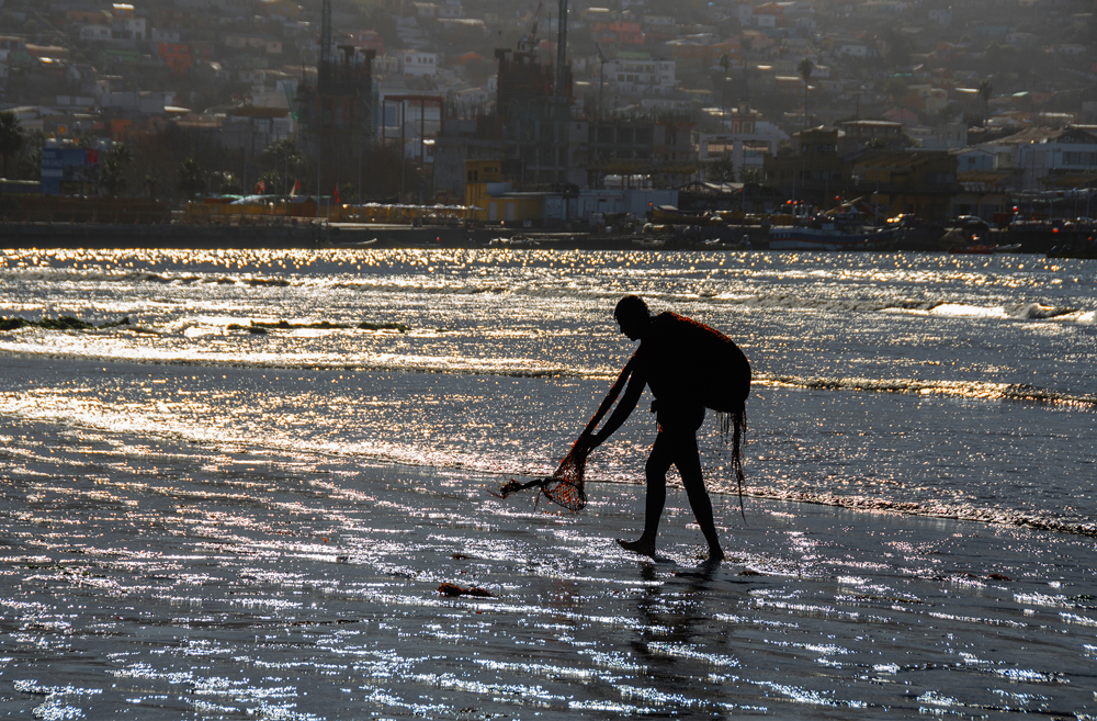 Recolector de algas ©Daniel Vidal Pollarolo | Concurso fotográfico “Ojo de Pez”
