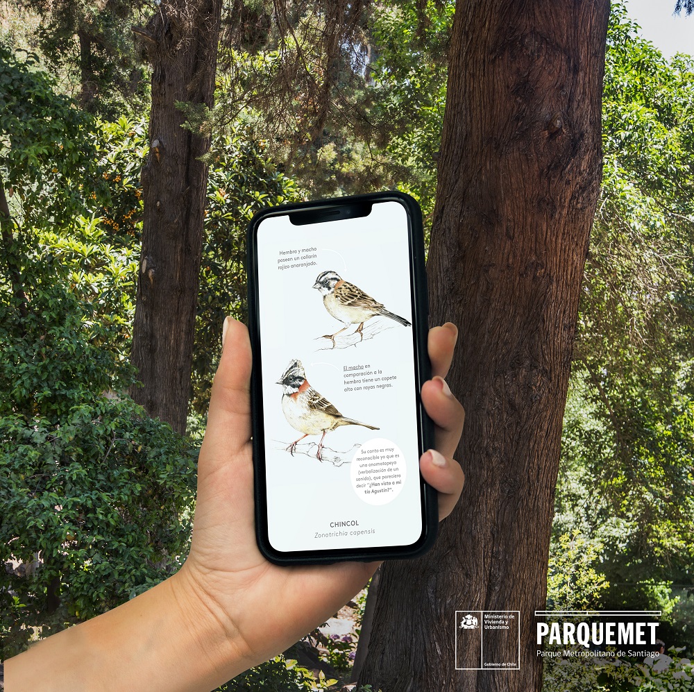 Guía de aves “Pajaronea como profesional” ©Parquemet