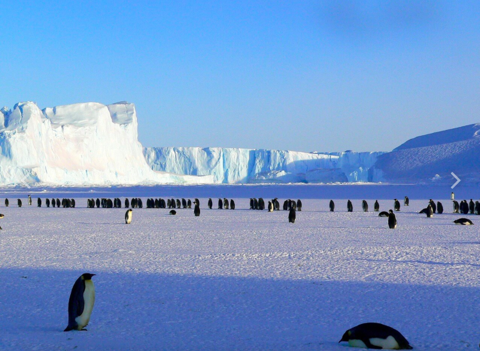 ©Instituto Chileno Antártico