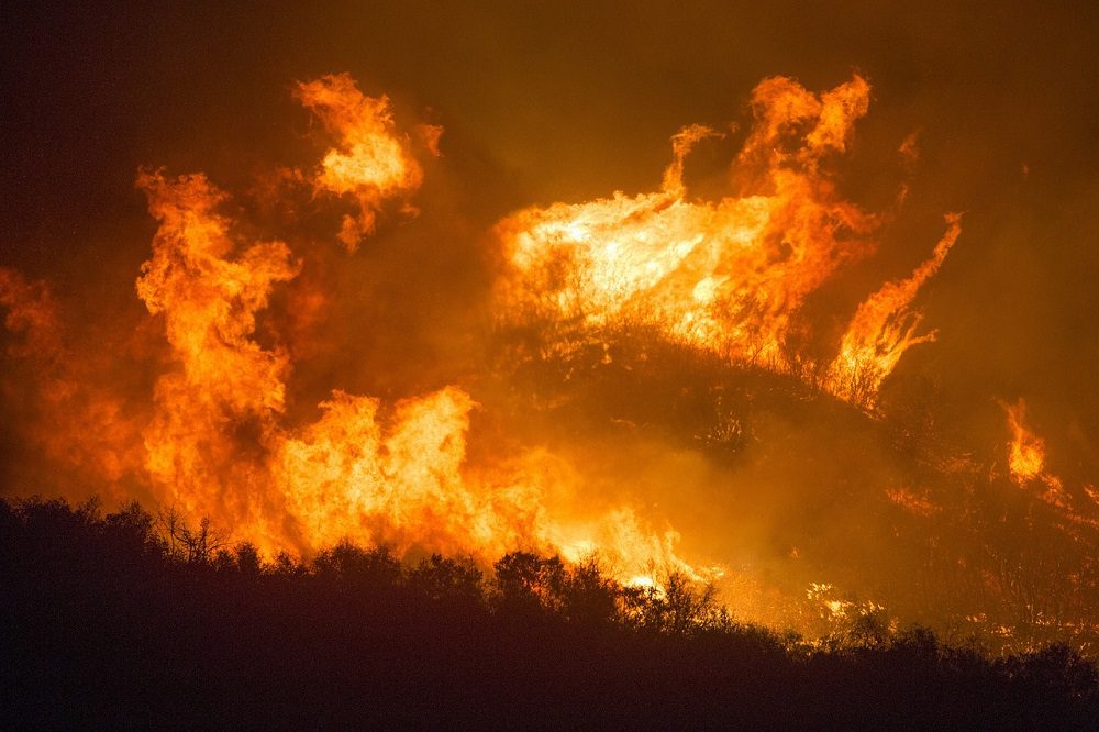 Advierten sobre posibles “tormentas de fuego” en la zona central durante la próxima temporada de incendios forestales