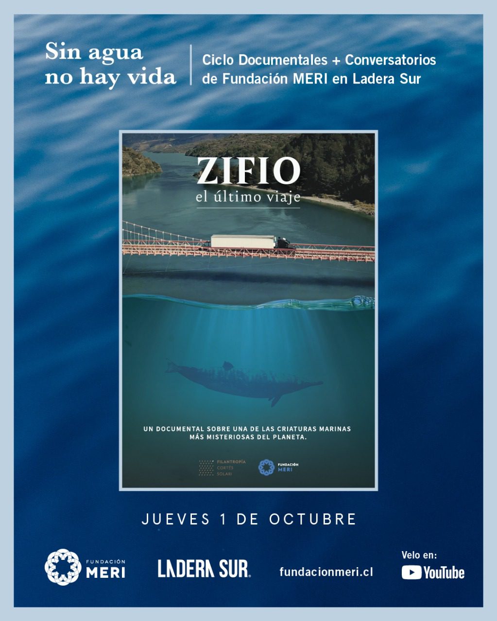 ¡Próximo estreno! “Zifio, el último viaje”, un documental sobre el rol de la ciencia en la investigación de cetáceos en Chile de Fundación MERI