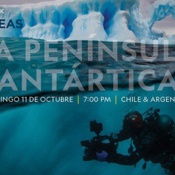 National Geographic estrena documental sobre la inédita expedición binacional a la Península Antártica con Chile y Argentina