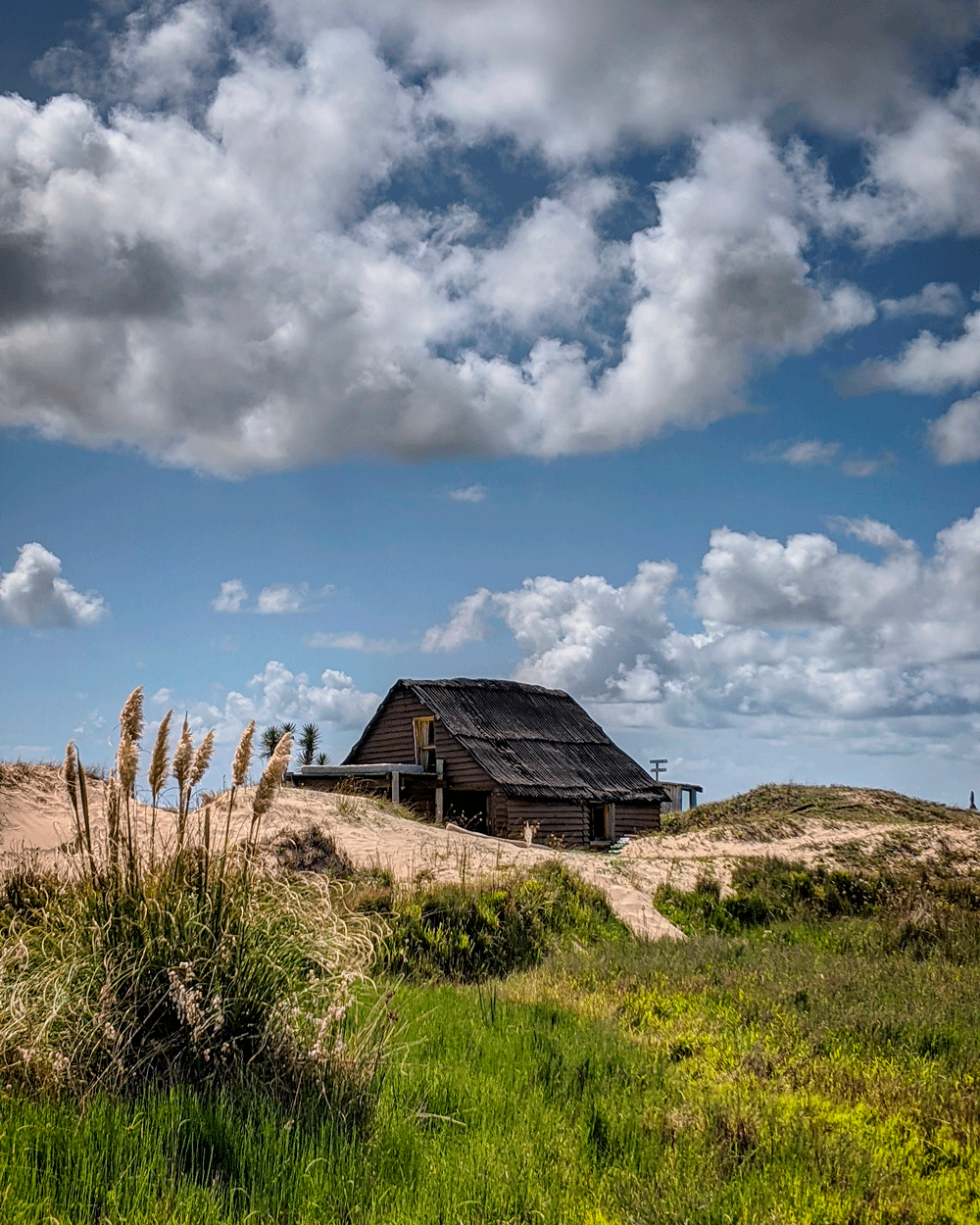 Cabaña en Cabo Polonio ©Carolina Brown