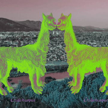 Chiliweke y perro fueguino: los supuestos y olvidados protagonistas de la historia de nuestros pueblos originarios