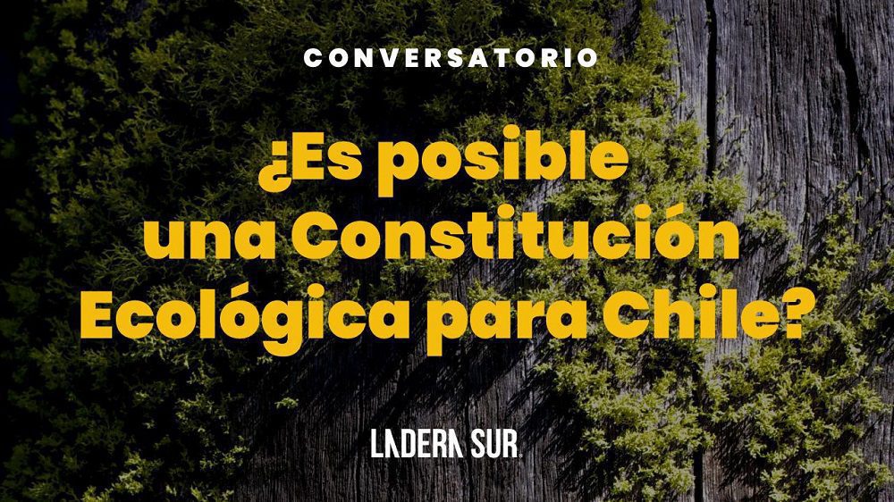 ¿Es posible una Constitución Ecológica para Chile? ¡No te pierdas el conversatorio de Ladera Sur de cara al plebiscito!