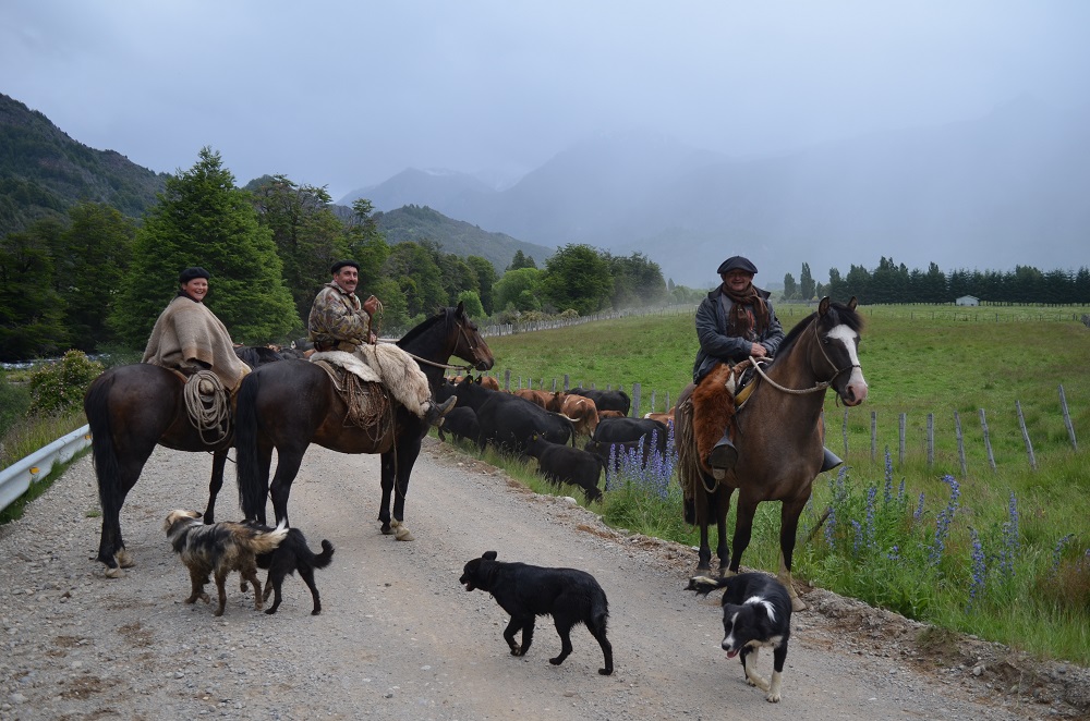 Gauchos camino al Ñirehuao ©Max Rayner
