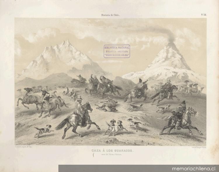 Caza a los guanacos, 1853. Claudio Gay ©Memoria Chilena