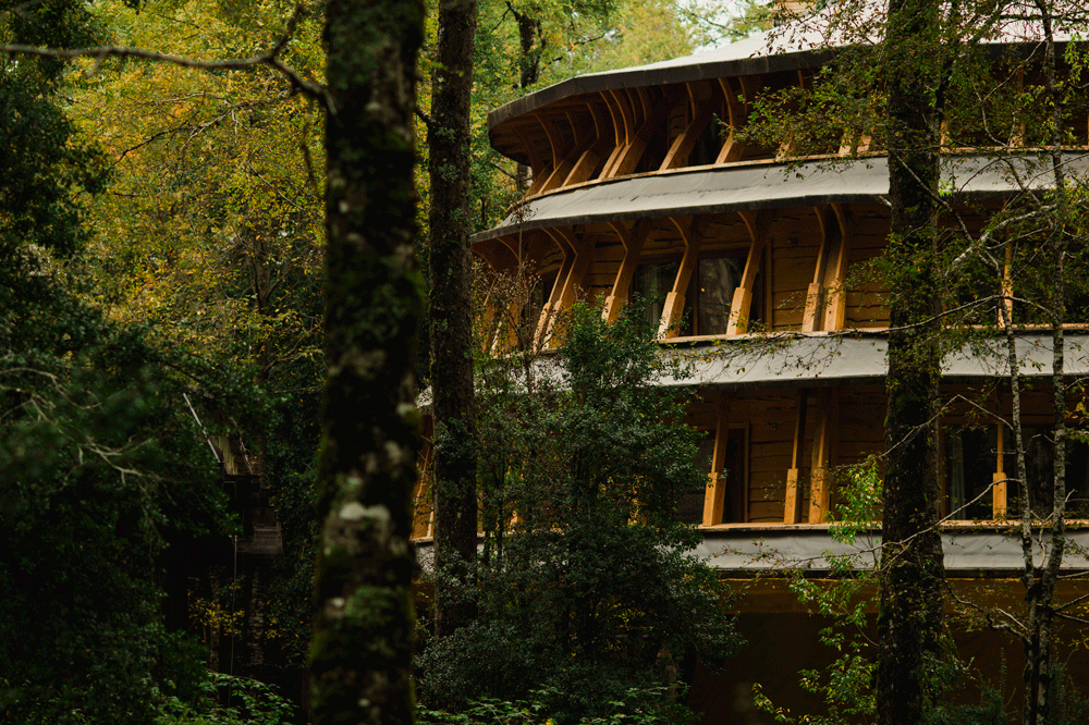 Hotel Reino Fungi ©Cortesía Reserva Biológica Huilo Huilo