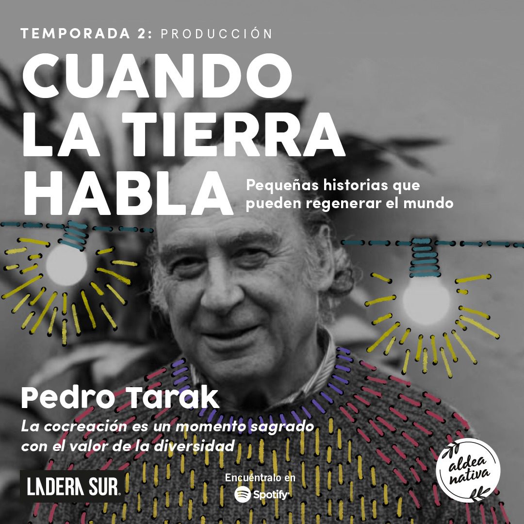 ¡Se estrena la segunda temporada de “Cuando la Tierra Habla”! Podcast #6 Pedro Tarak: «La cocreación es un momento sagrado con el valor de la diversidad»