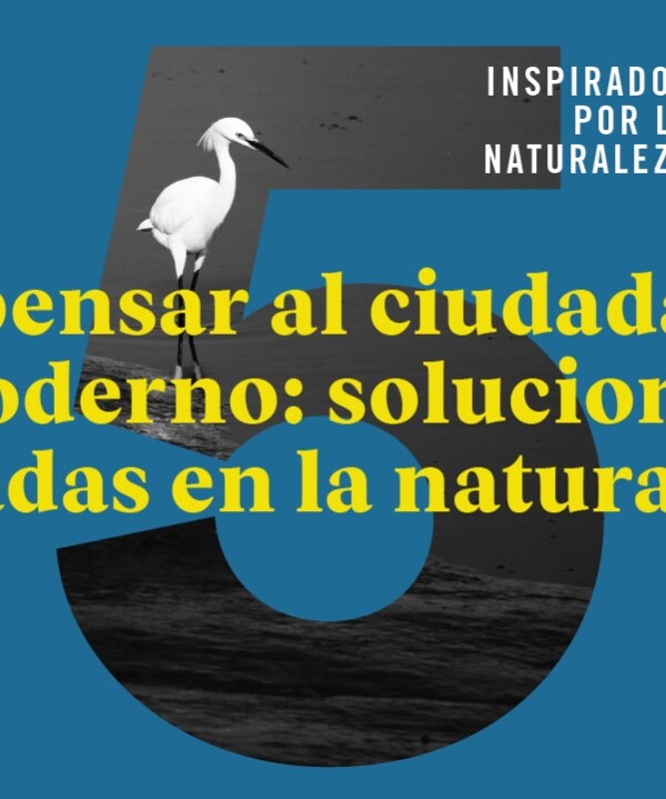 “Repensar al ciudadano moderno: soluciones basadas en la naturaleza” ¡No te pierdas el nuevo conversatorio de Inspirados por la Naturaleza!
