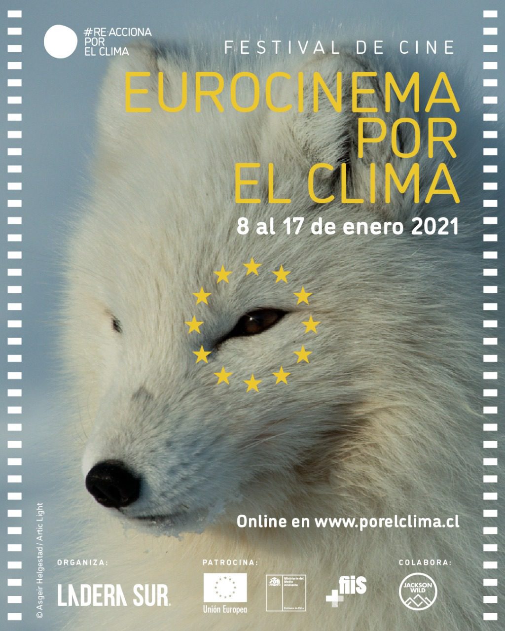 ¡Aquí el link directo para ver gratis Eurocinema por el Clima! No te pierdas este festival de cine sobre cambio climático