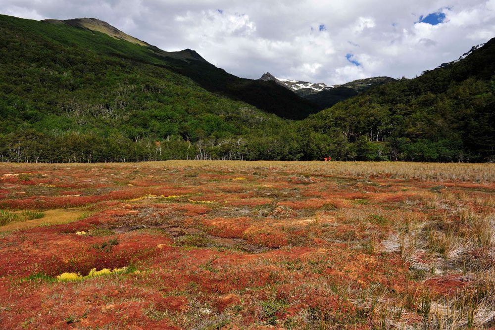 La protección a las turberas en el Parque Karukinka, en Tierra del Fuego, se sumó a la red de acción climática más grande de Chile