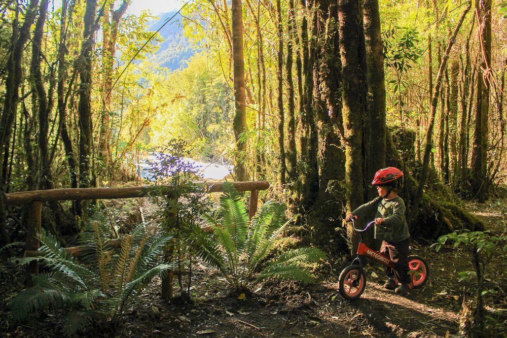Carretera Austral en bicicleta: 5 consejos para una inolvidable aventura con hijos e hijas