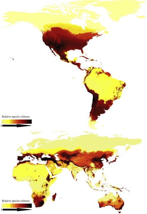 Mapa de abundancia relativa de especies de abejas nativas (Orr y colaboradores 2020). Áreas más oscuras son las que concentran mayor diversidad