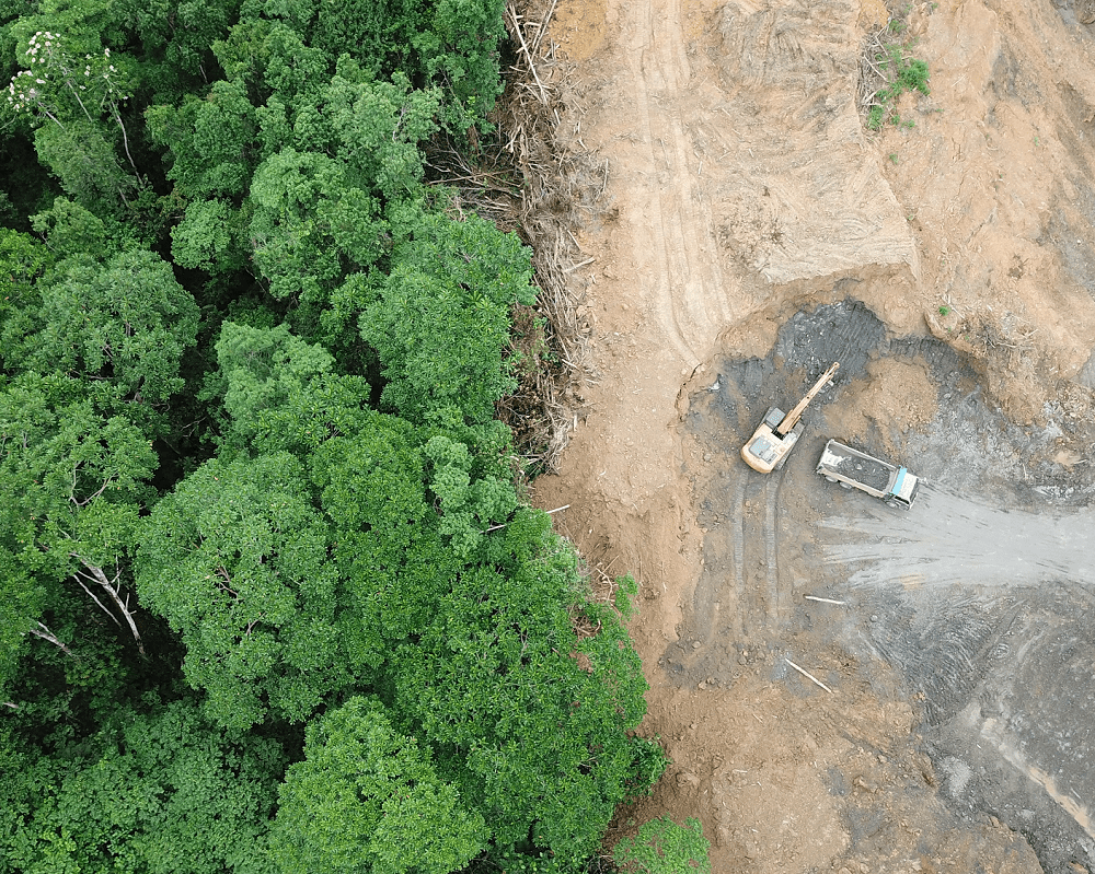 Informe revela que deforestación global avanza en 24 frentes: nueve están en América Latina