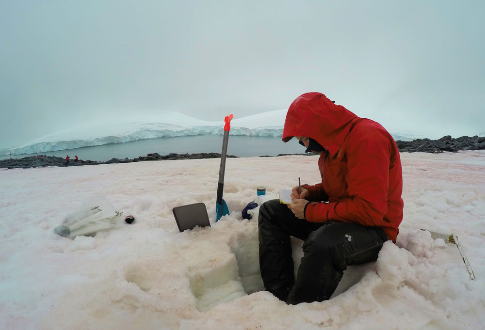 Investigador tomando muestras de nieve en Yelcho ©Harry Díaz | Cortesía Instituto Chileno Antártico