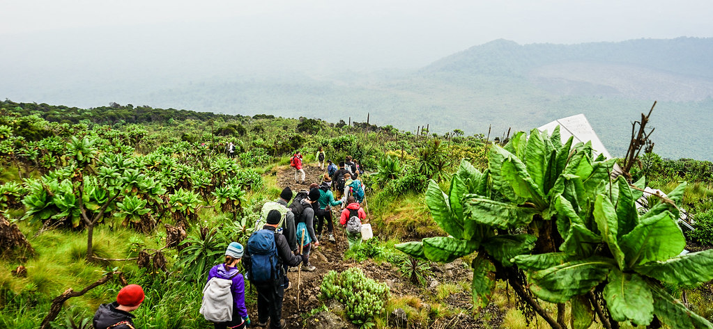 Parque Nacional Virunga, Congo ©Nina R