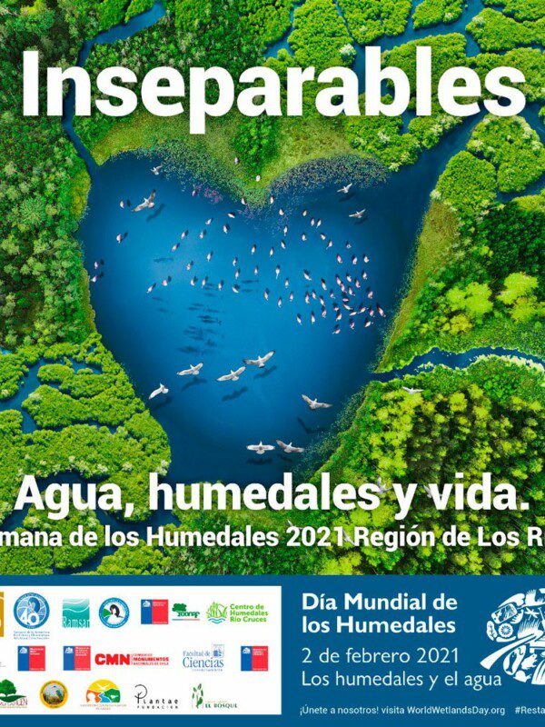 Semana de los Humedales 2021: «Inseparables: agua, humedales y vida»