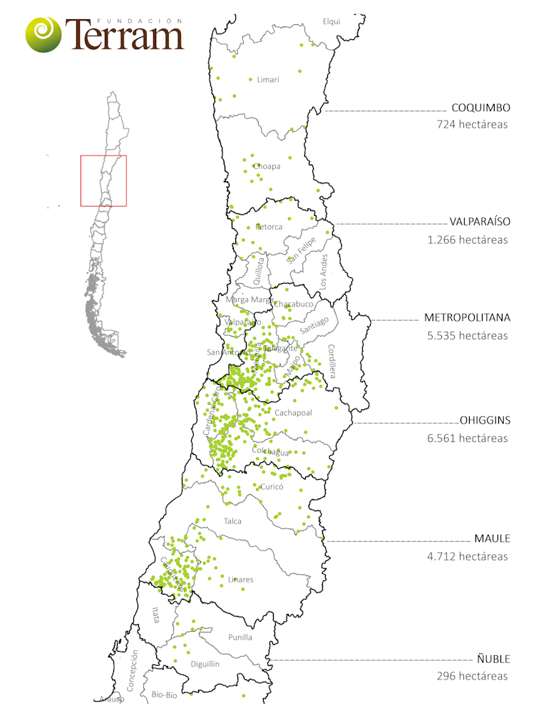 Mapa de tala de bosque nativo por región © Fundación Terram