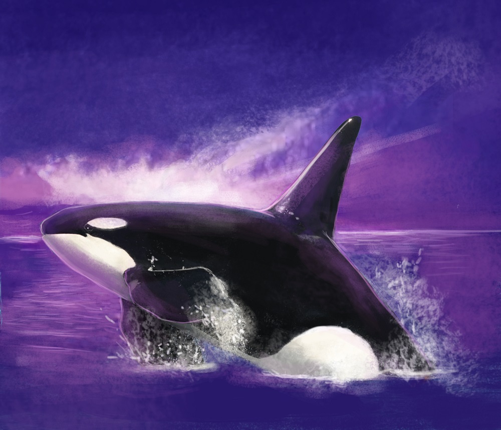 Orca ©Within Play