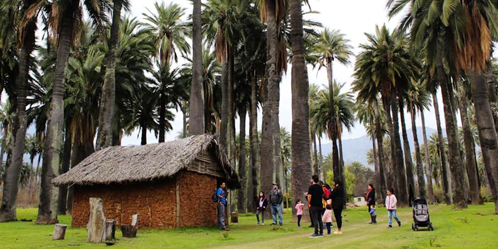 Tours que desarrolla Pitrucao Outdoor en el Parque Nacional Palmas de Cocalán. ©Rodrigo Arce, Plataforma LagoRapelChile.cl