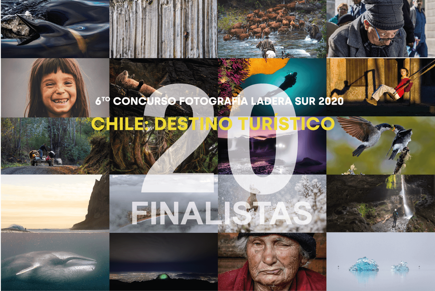 ¡Todos a votar! Las 20 mejores fotos del concurso “Chile: destino turístico” 2020