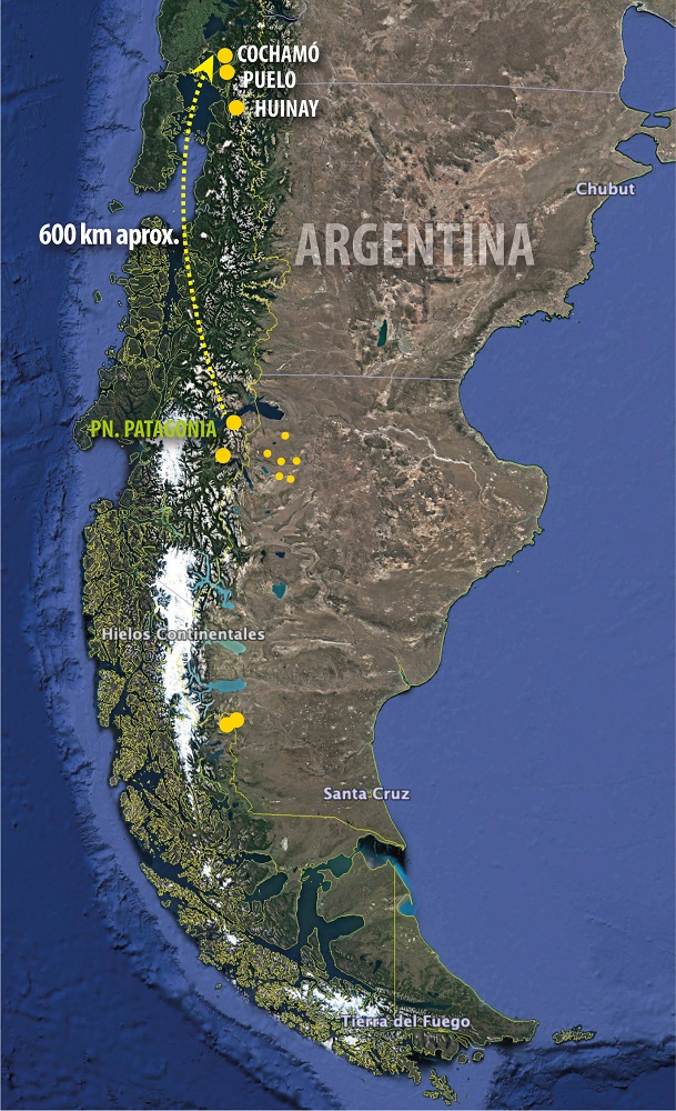 Mapa del registro reciente de la vizcacha austral y los reportes anteriores, basados en información oficial ©Rodrigo Verdugo