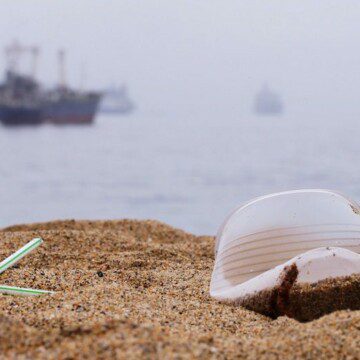 Congreso aprueba ley que prohíbe plásticos de un solo uso: implementación comienza en 6 meses